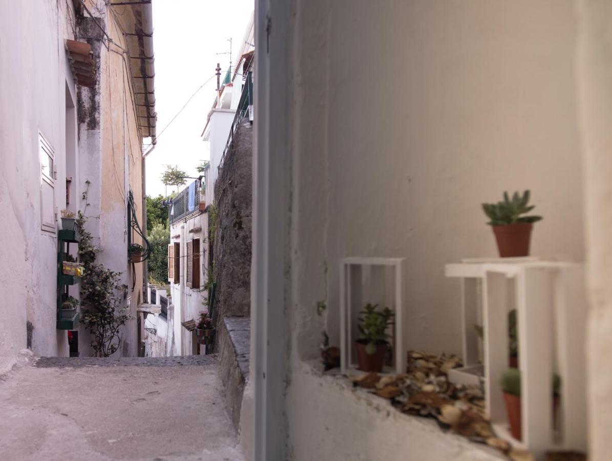 Villa Amalfi Coast Sea View Vietri Exterior foto
